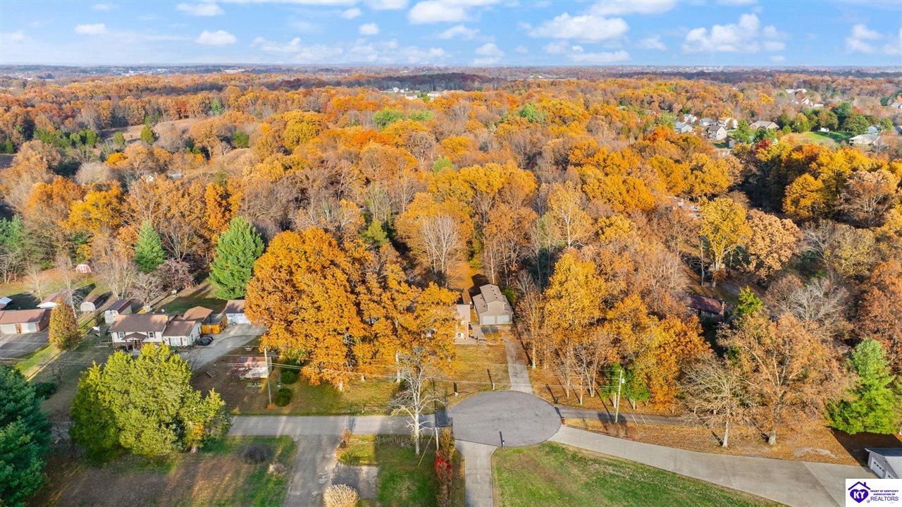 Listing Picture 929 Hickory Drive Vine Grove, KY 40175 MLS HK25004733
