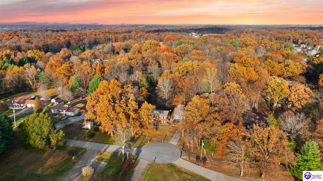 Listing Picture 929 Hickory Drive Vine Grove, KY 40175 MLS HK25004733