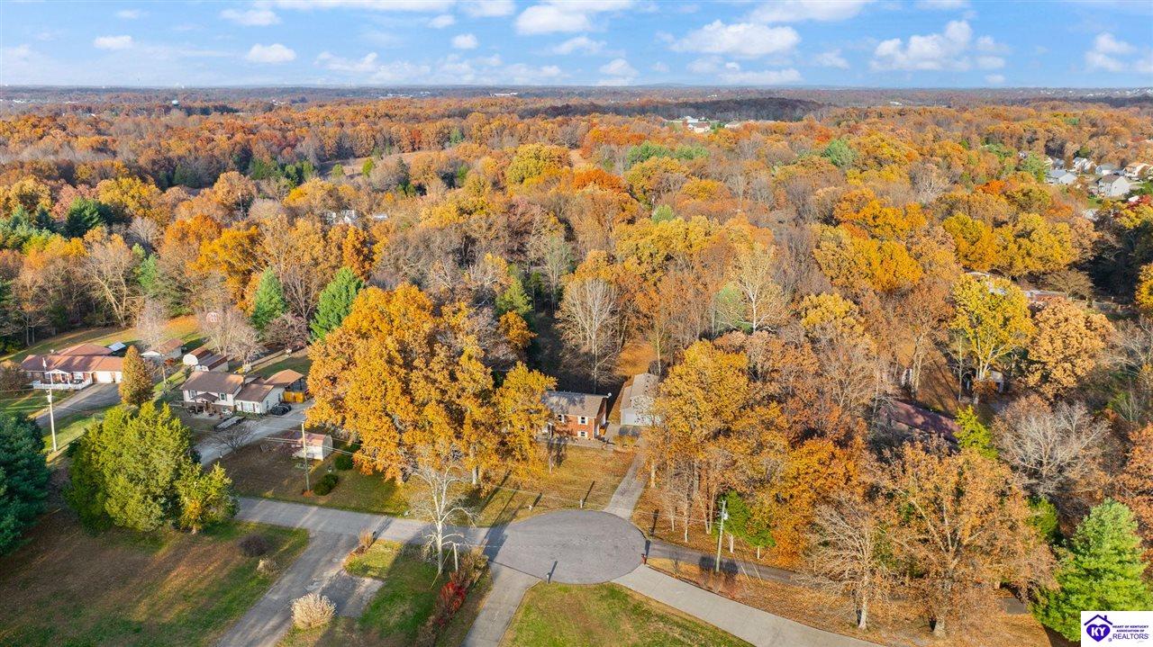 Listing Picture 929 Hickory Drive Vine Grove, KY 40175 MLS HK25004733
