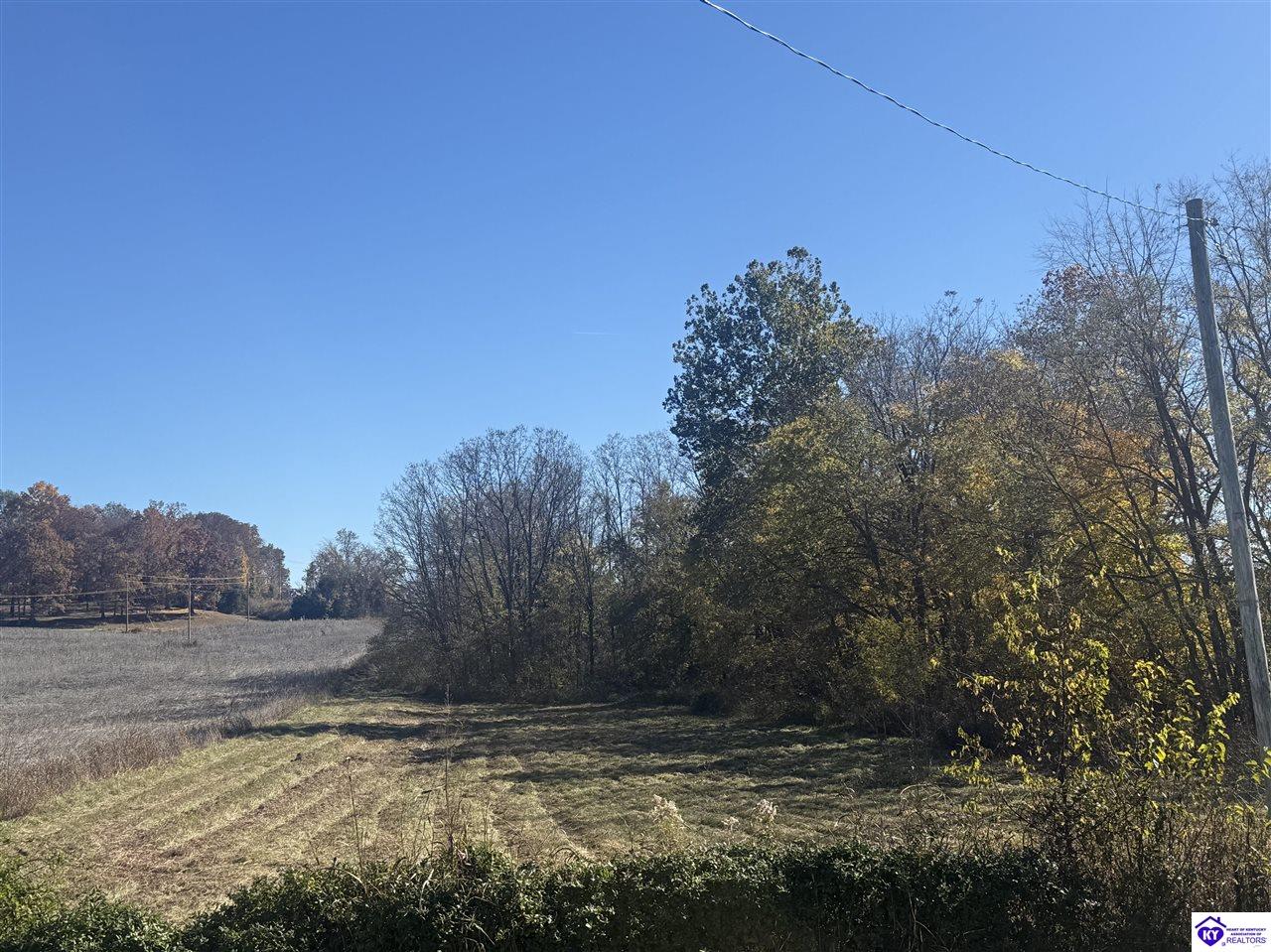 Lot #4 Highway 60Guston,&nbsp;KY&nbsp;40142