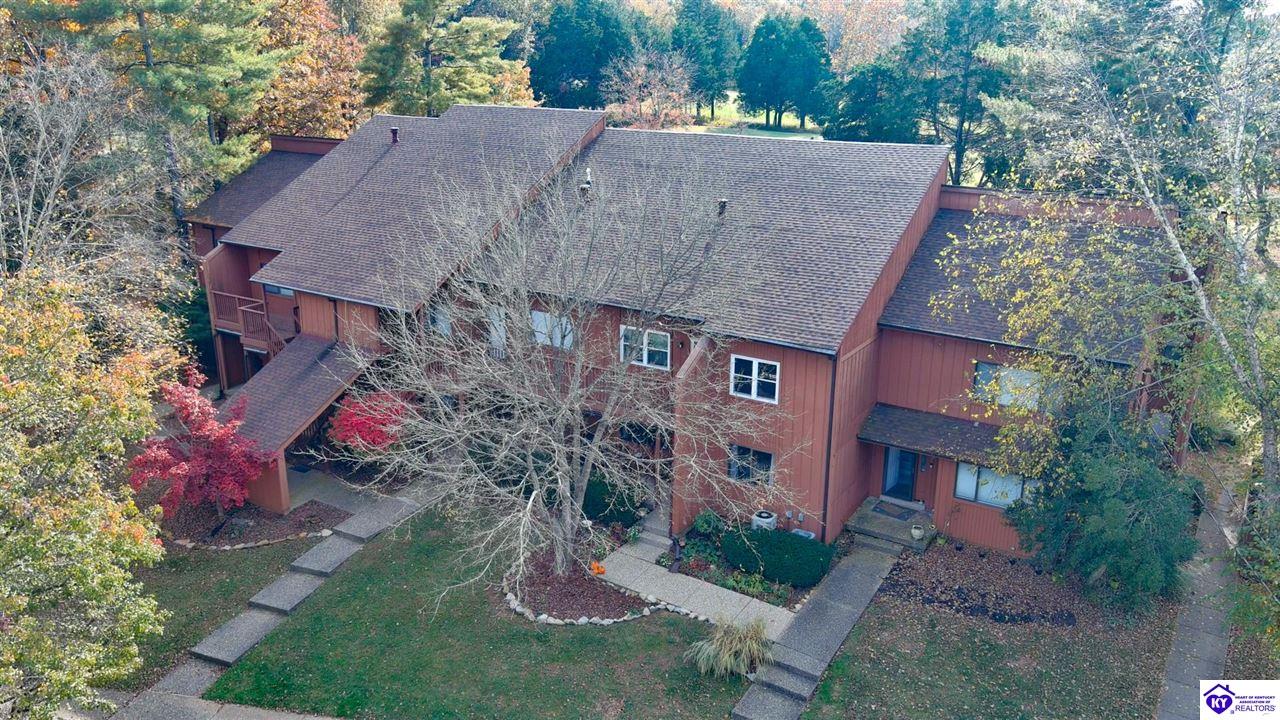 Listing Picture 397 Piping Rock Road Brandenburg, KY 40108 MLS HK25004740