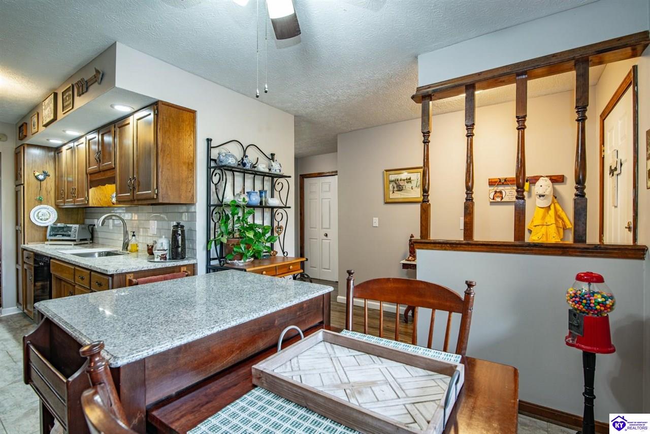 Listing Picture 397 Piping Rock Road Brandenburg, KY 40108 MLS HK25004740