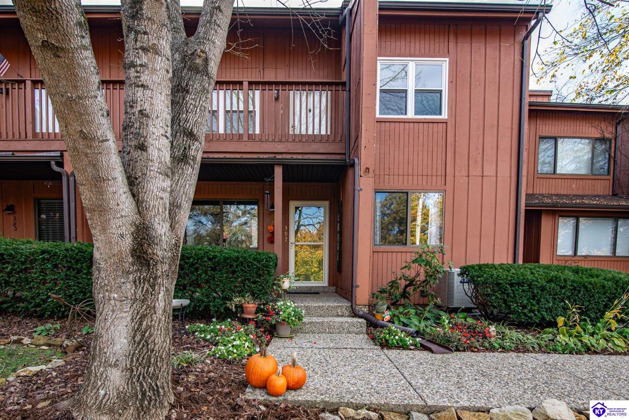 Listing Picture 397 Piping Rock Road Brandenburg, KY 40108 MLS HK25004740