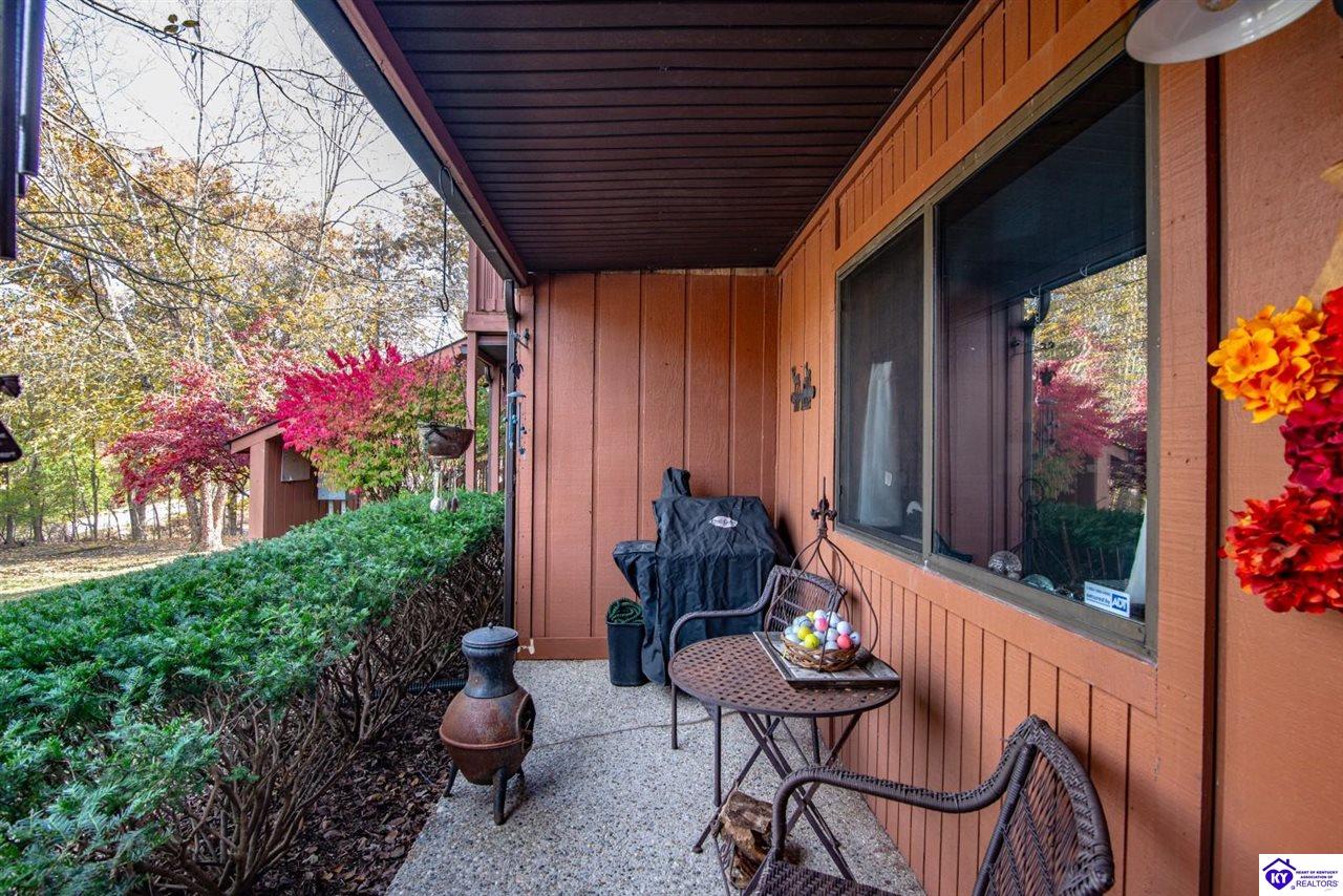 Listing Picture 397 Piping Rock Road Brandenburg, KY 40108 MLS HK25004740