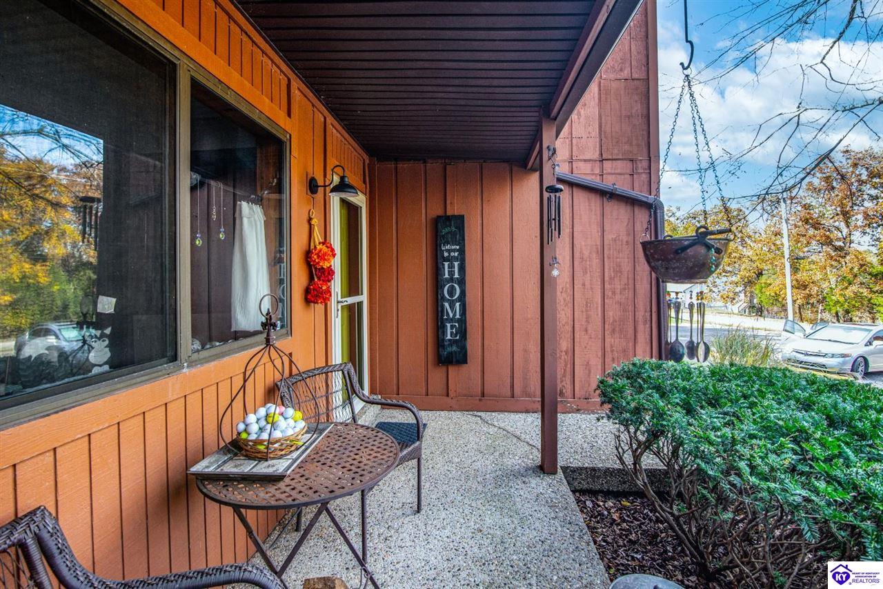 Listing Picture 397 Piping Rock Road Brandenburg, KY 40108 MLS HK25004740