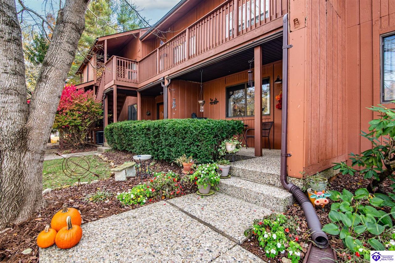 Listing Picture 397 Piping Rock Road Brandenburg, KY 40108 MLS HK25004740