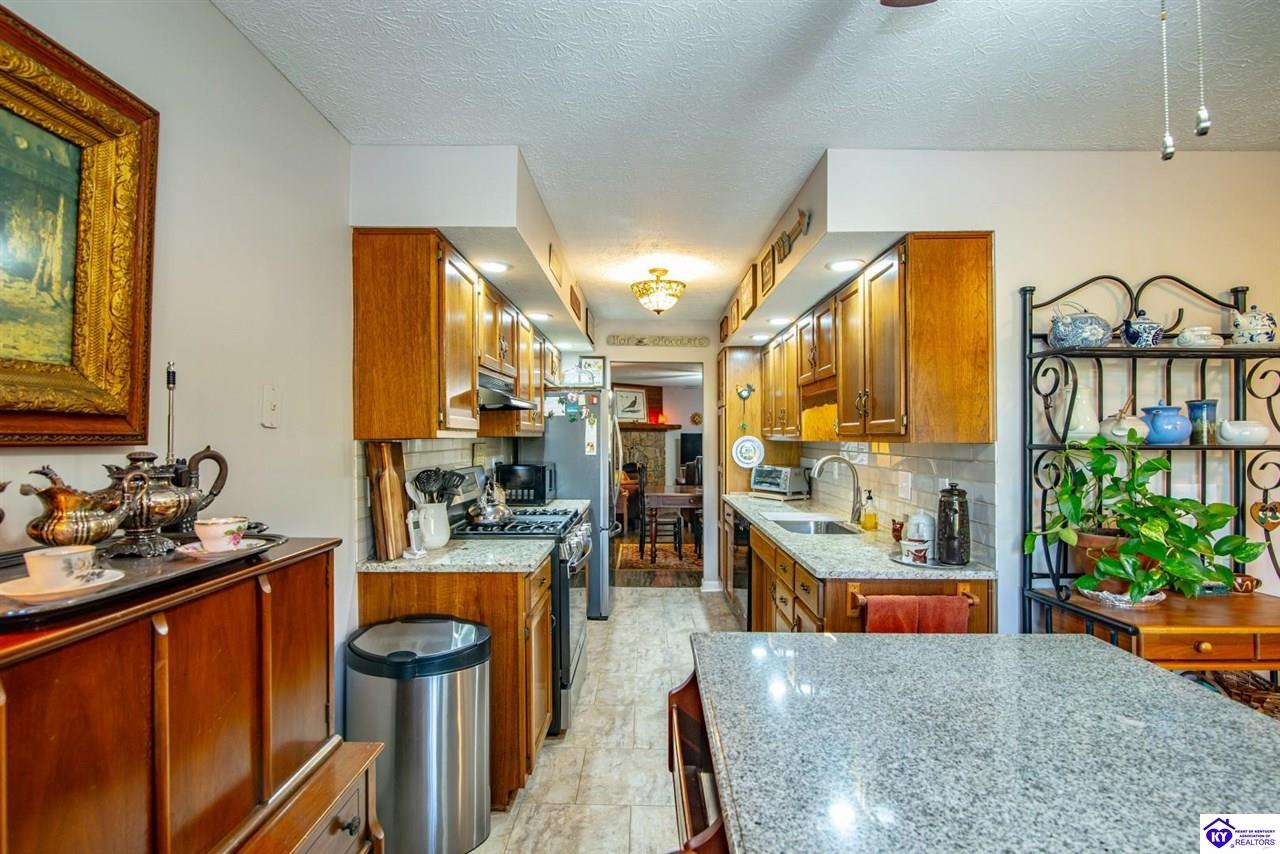 Listing Picture 397 Piping Rock Road Brandenburg, KY 40108 MLS HK25004740