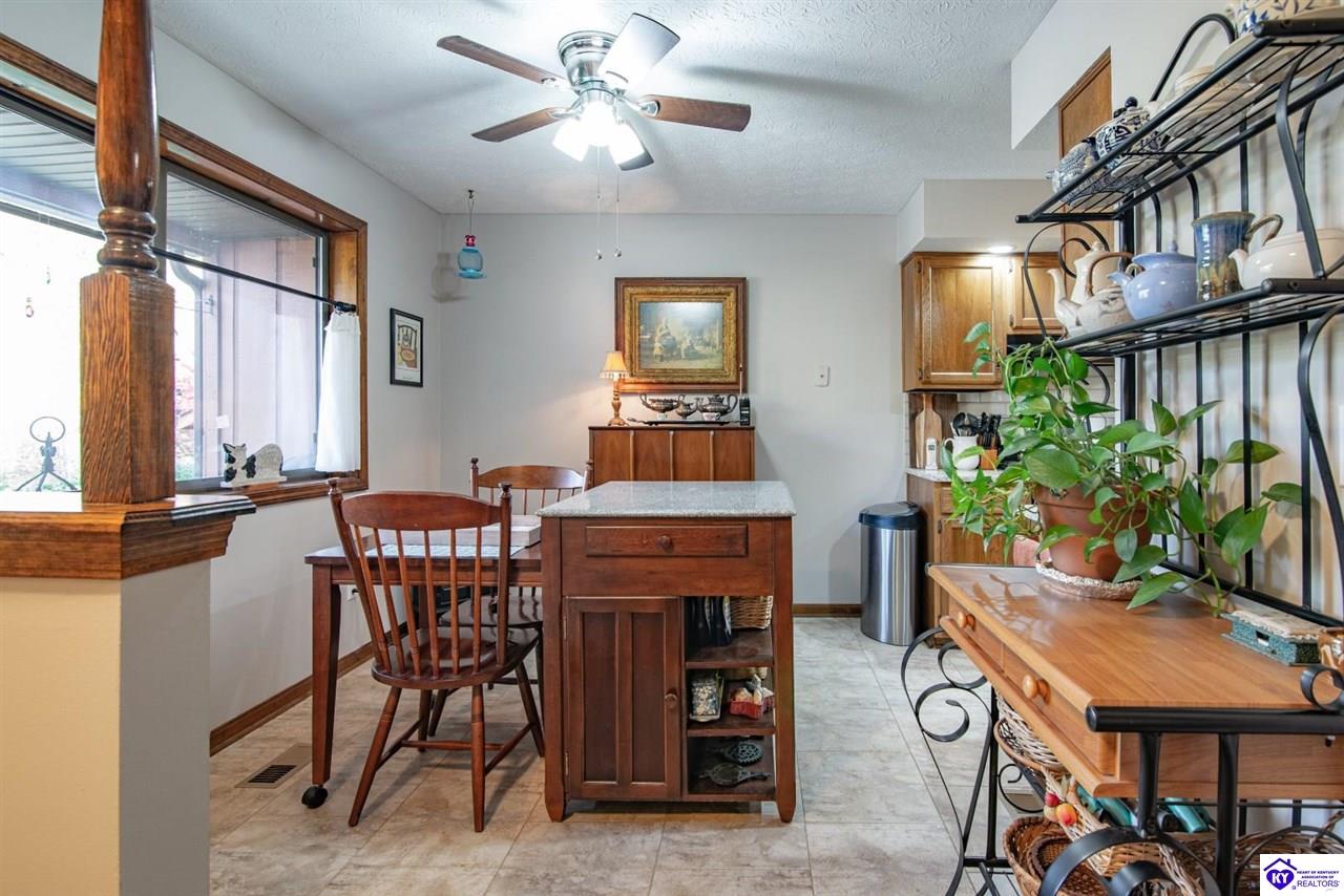 Listing Picture 397 Piping Rock Road Brandenburg, KY 40108 MLS HK25004740