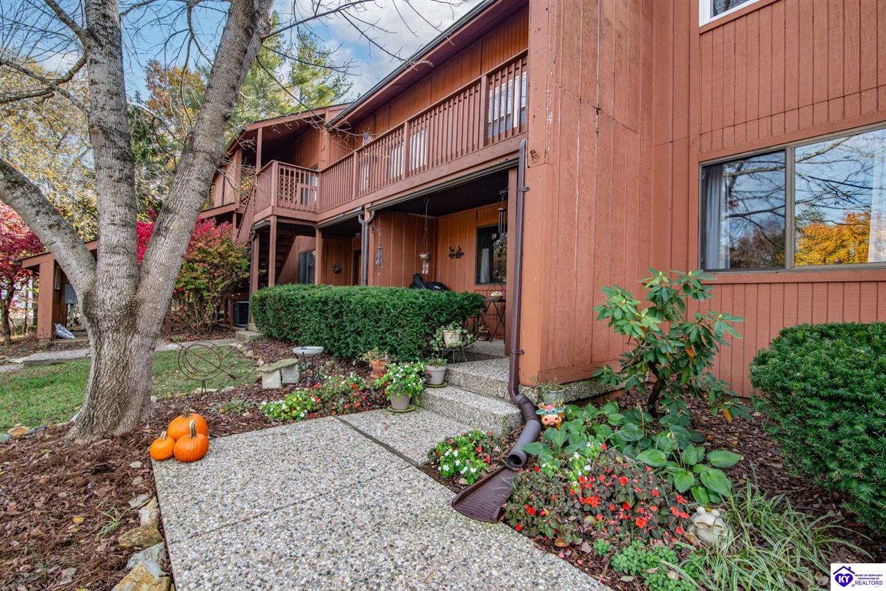 Listing Picture 397 Piping Rock Road Brandenburg, KY 40108 MLS HK25004740