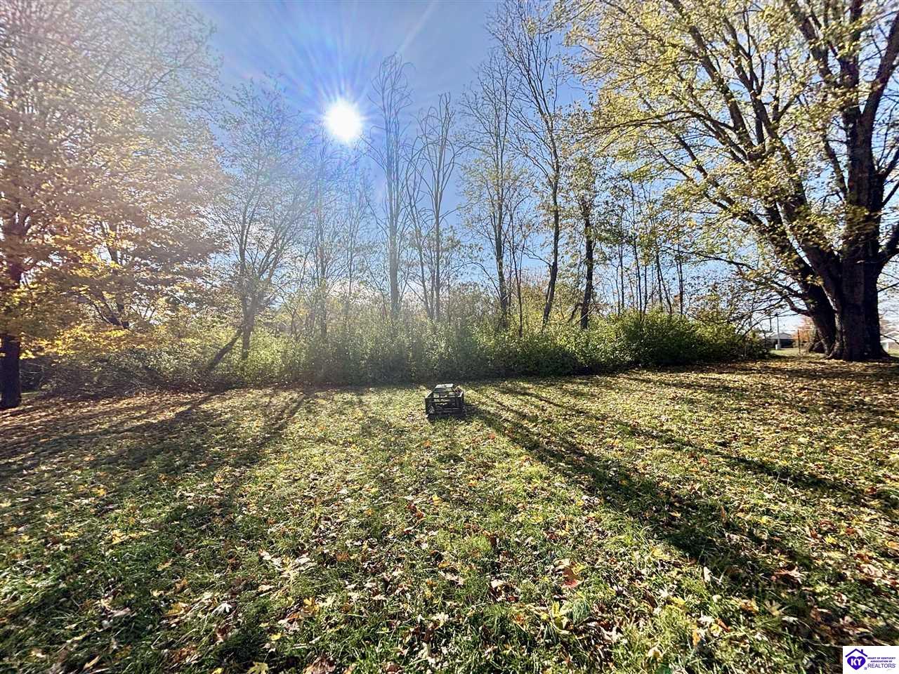 Listing Picture 71 Dowell Street Campbellsville, KY 42718 MLS HK25004761