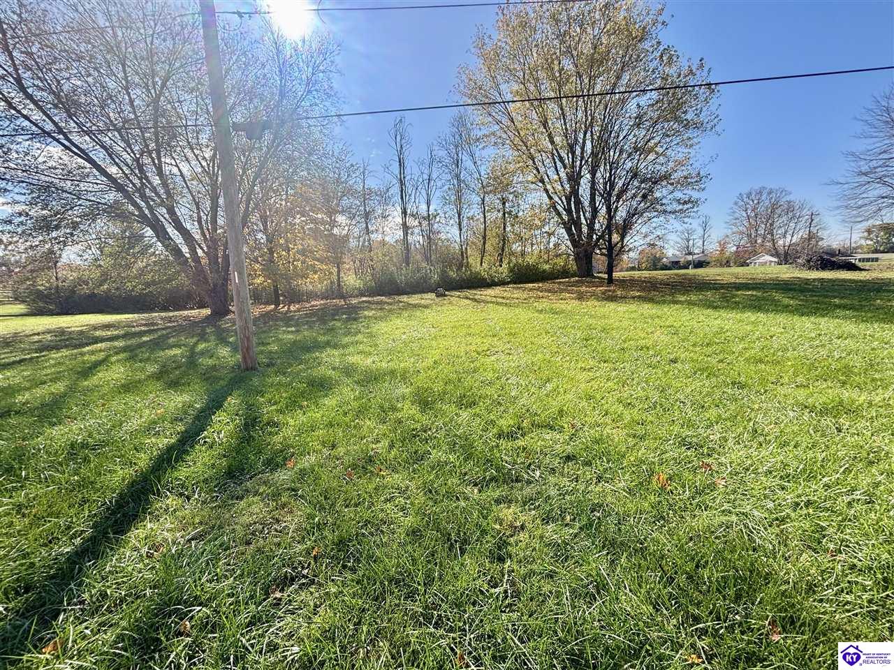 Listing Picture 71 Dowell Street Campbellsville, KY 42718 MLS HK25004761