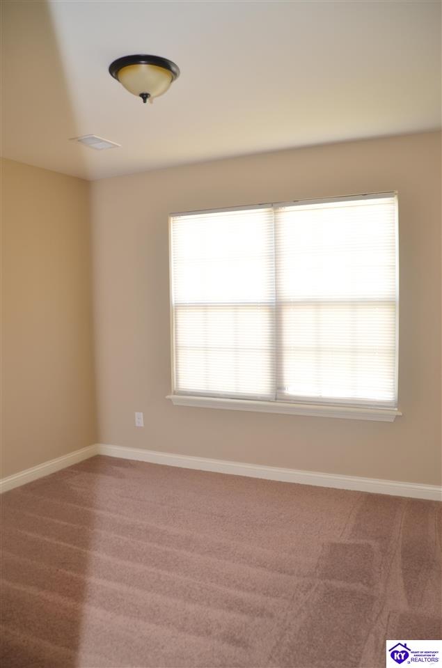 Listing Picture 309 Merlot Court Vine Grove, KY 40175 MLS HK25004853