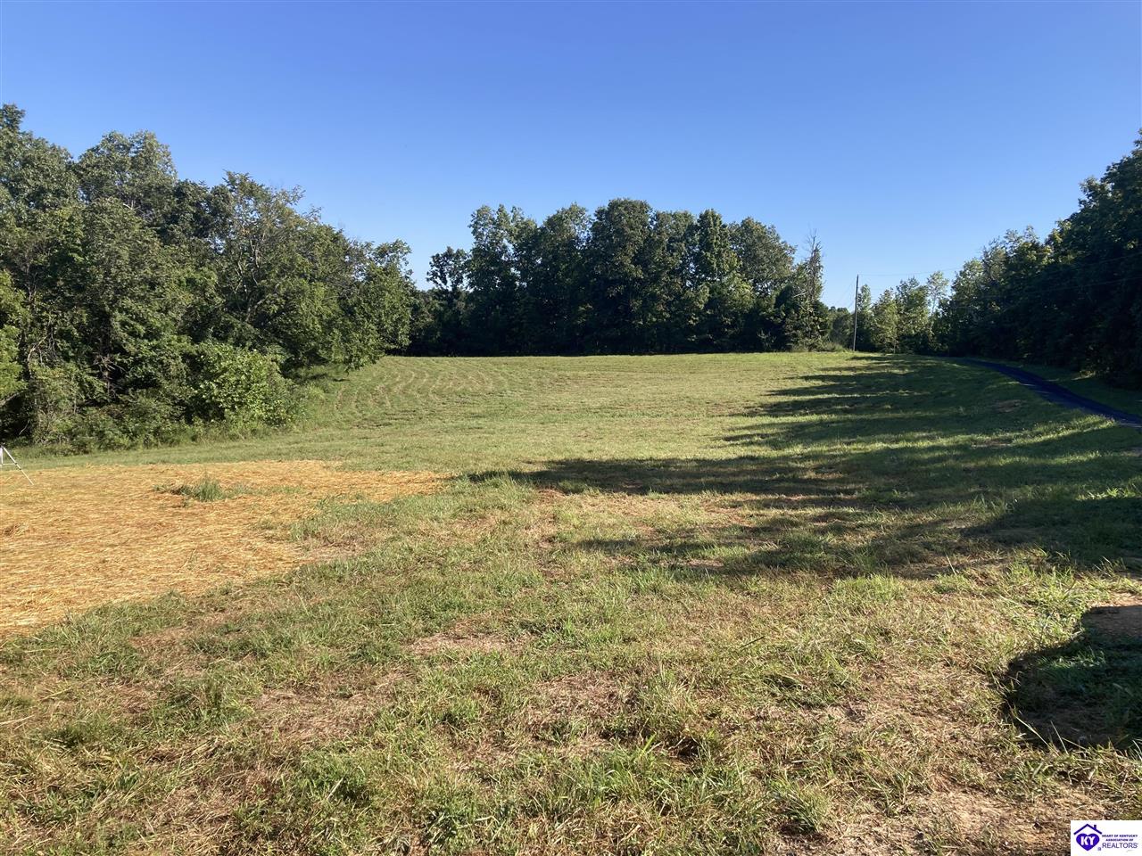 Listing Picture 297 Roy Road Eastview, KY 42732 MLS HK25004897
