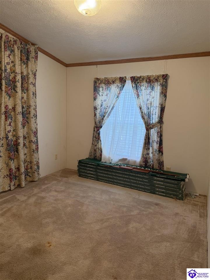 Listing Picture 274 3rd Street Elizabethtown, KY 42701 MLS HK25004934