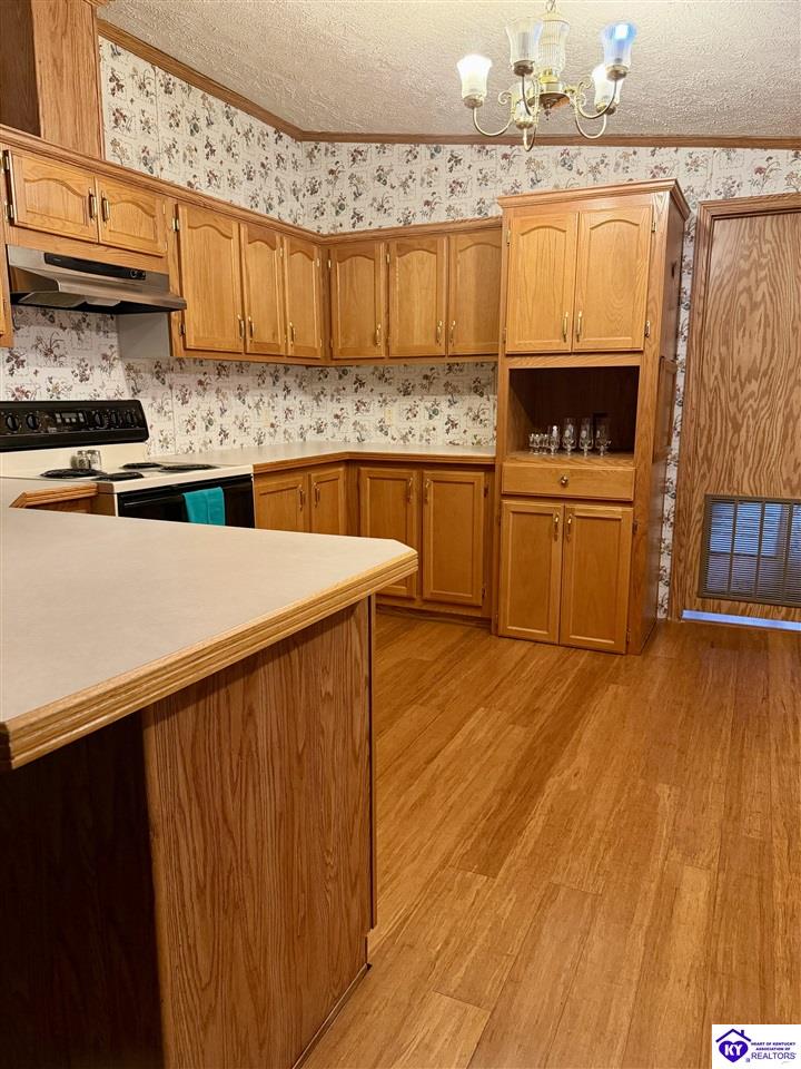 Listing Picture 274 3rd Street Elizabethtown, KY 42701 MLS HK25004934