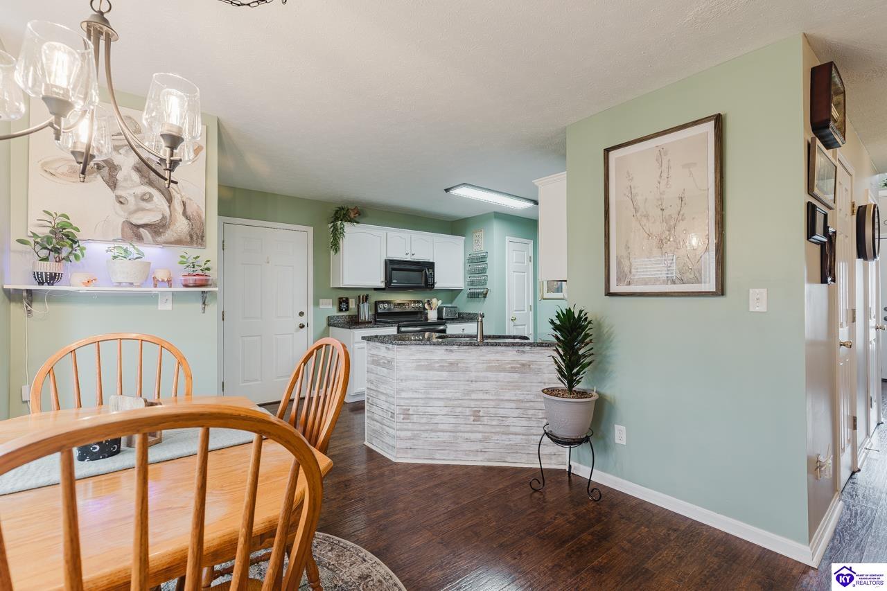 Listing Picture 161 Delaney Court Rineyville, KY 40162 MLS HK25004955