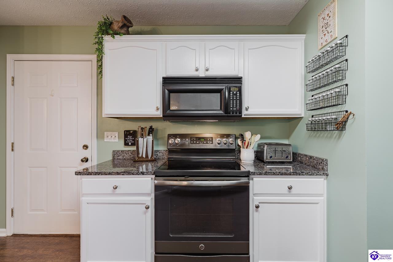 Listing Picture 161 Delaney Court Rineyville, KY 40162 MLS HK25004955