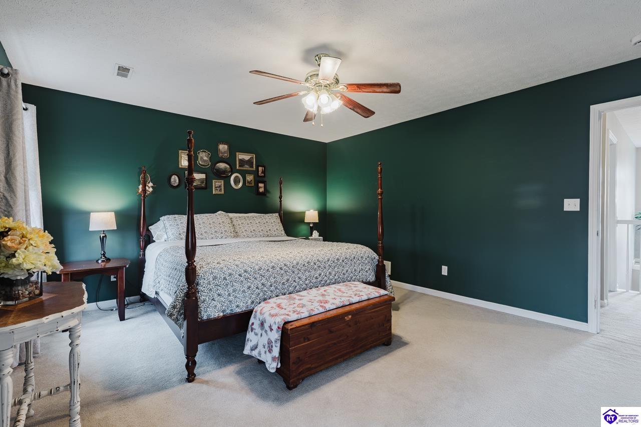 Listing Picture 161 Delaney Court Rineyville, KY 40162 MLS HK25004955