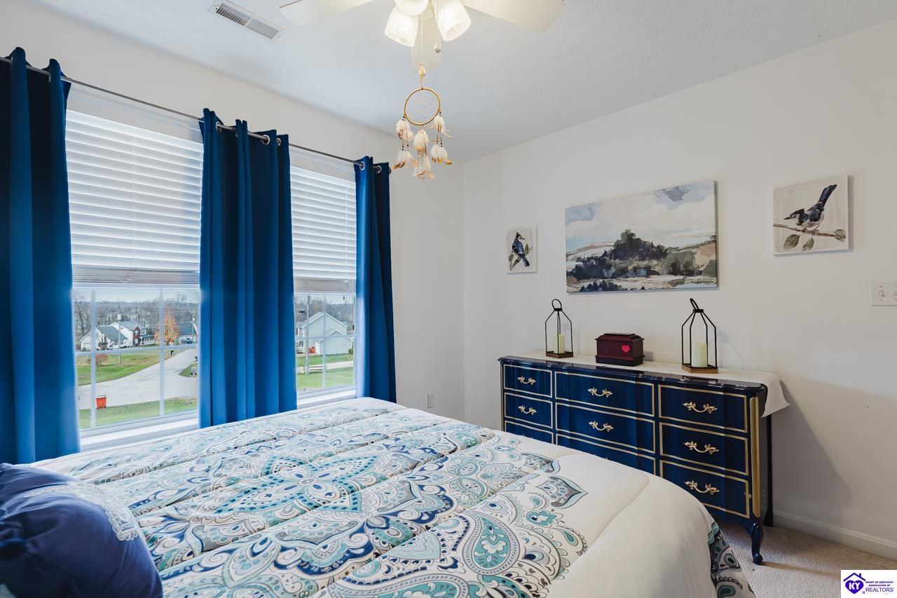 Listing Picture 161 Delaney Court Rineyville, KY 40162 MLS HK25004955