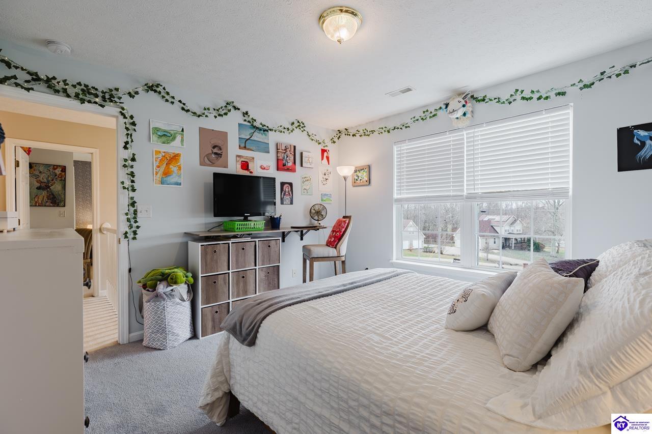 Listing Picture 161 Delaney Court Rineyville, KY 40162 MLS HK25004955