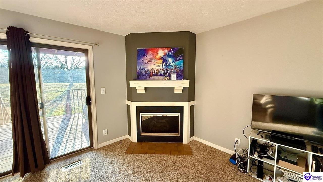 Listing Picture 489 Piping Rock Road Brandenburg, KY 40108 MLS HK25005025