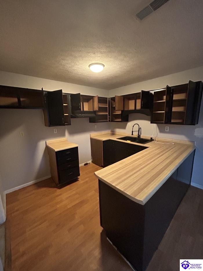 Listing Picture 2857 Rineyville Big Springs Rineyville, KY 40162 MLS HK25005043