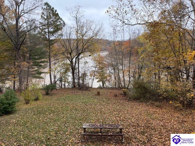 512 Hornback Mill Ext. LaneLeitchfield,&nbsp;KY&nbsp;42754