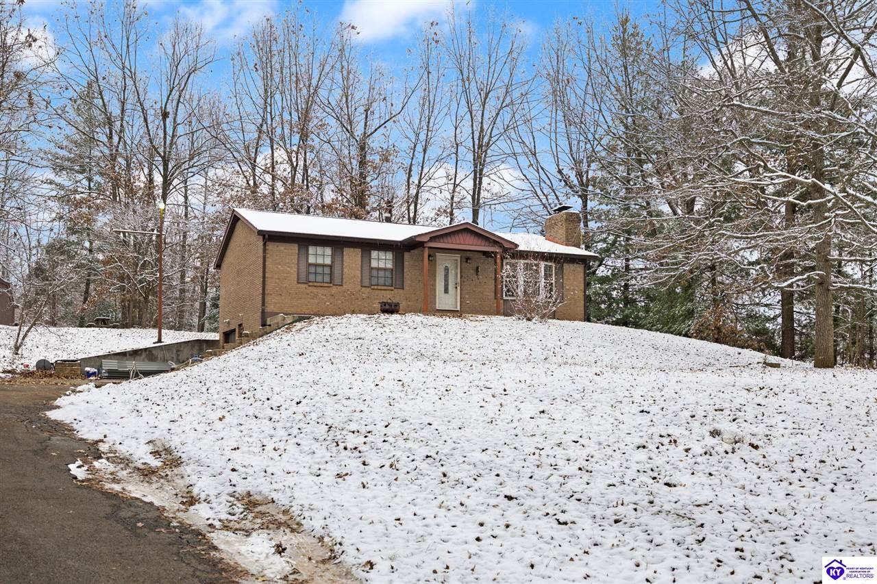 Listing Picture 1964 Rineyville Big Springs Road Rineyville, KY 40162 MLS HK25005075