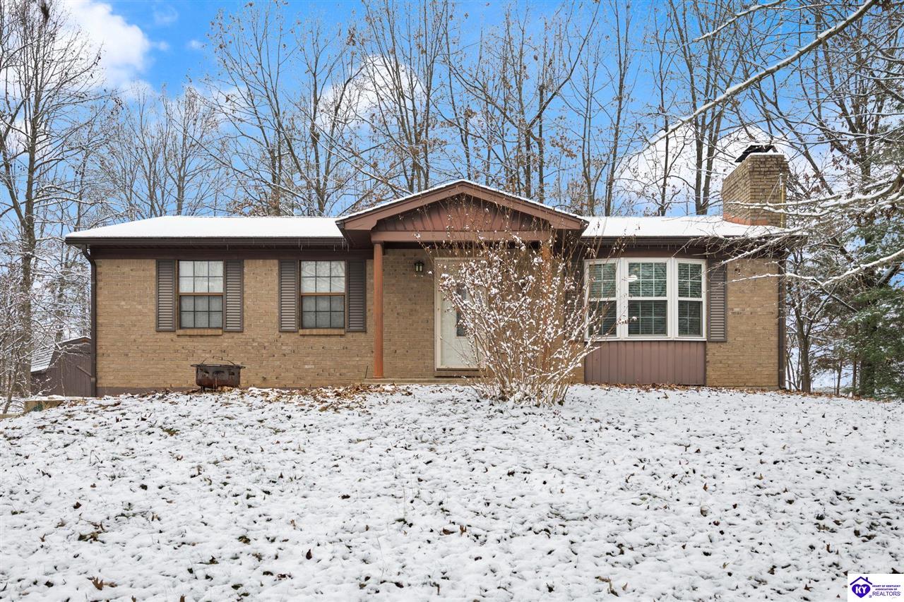 Listing Picture 1964 Rineyville Big Springs Road Rineyville, KY 40162 MLS HK25005075