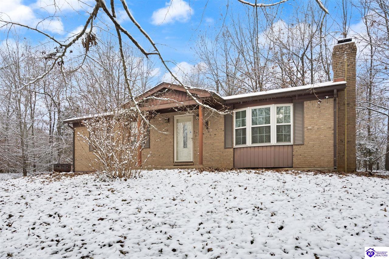 Listing Picture 1964 Rineyville Big Springs Road Rineyville, KY 40162 MLS HK25005075