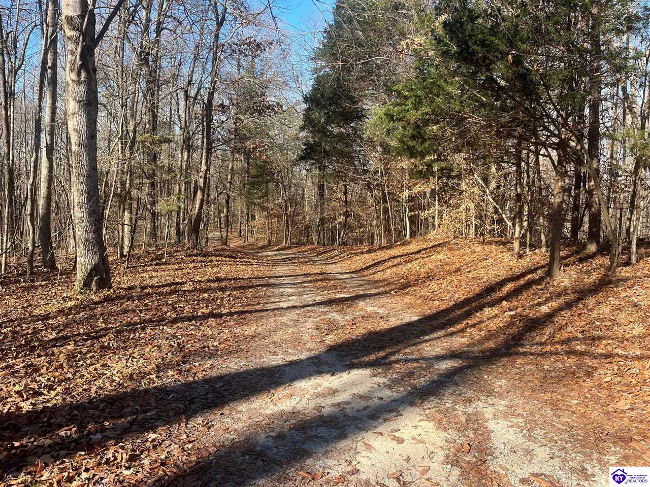 2 S Otter Creek RoadBuffalo,&nbsp;KY&nbsp;42716