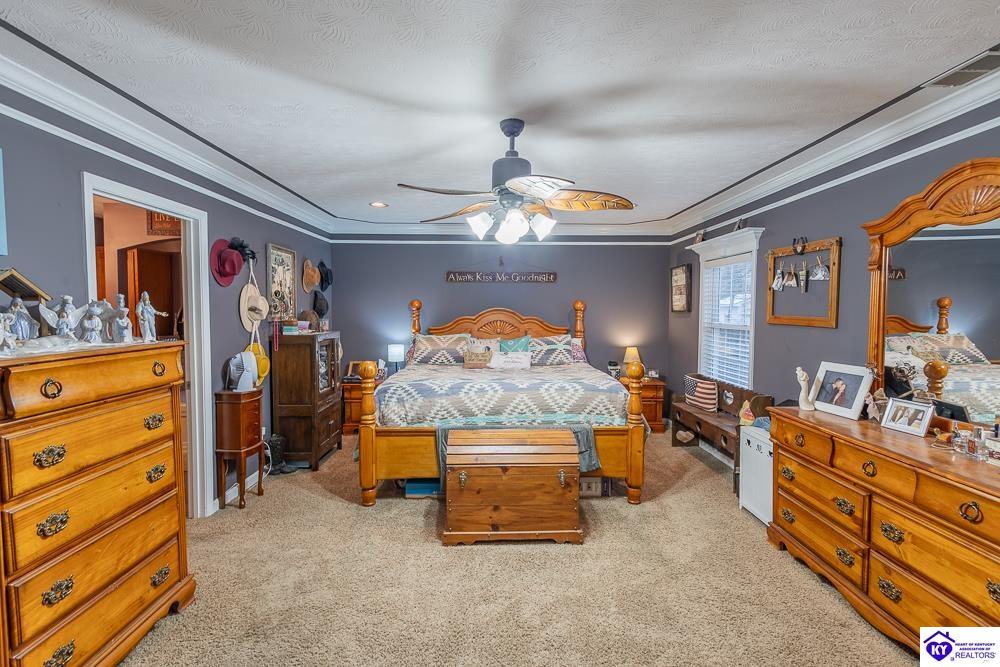 Listing Picture 9747 Mason Lane Fairdale, KY 40118 MLS HK25005193