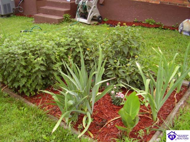 Listing Picture 39 W Airview Drive Elizabethtown, KY 42701 MLS HK10000045