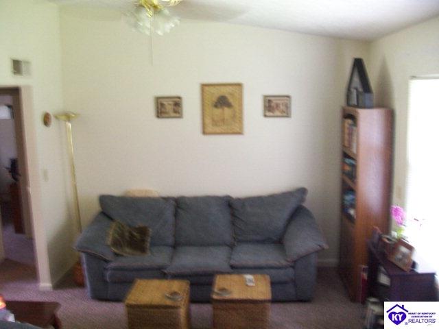 Listing Picture 249 Donna Avenue Radcliff, KY 40160 MLS HK10000085