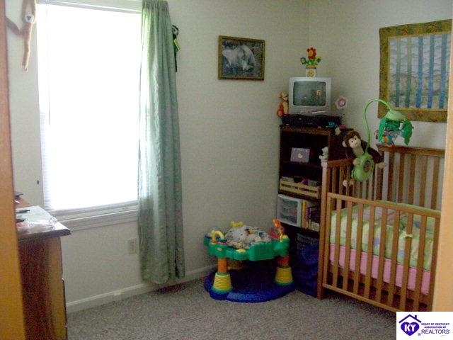 Listing Picture 249 Donna Avenue Radcliff, KY 40160 MLS HK10000085