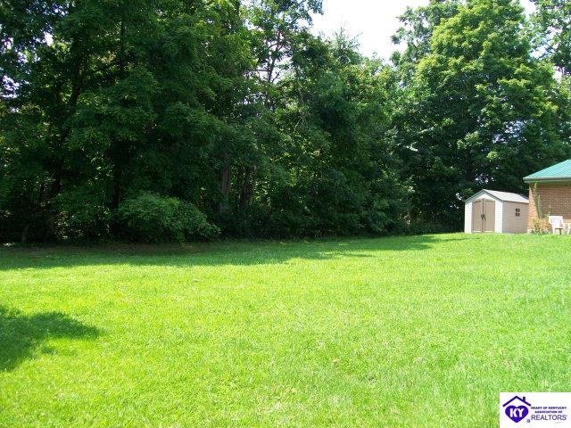 Listing Picture 249 Donna Avenue Radcliff, KY 40160 MLS HK10000085