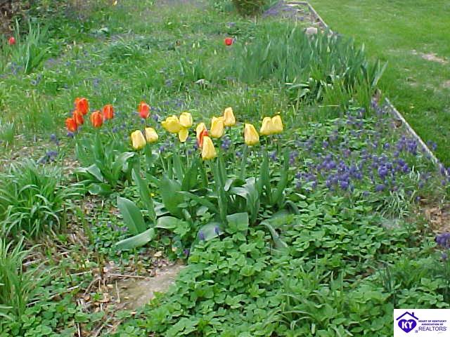 Listing Picture 401 Highland Avenue Vine Grove, KY 40175 MLS HK10000269