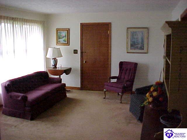 Listing Picture 401 Highland Avenue Vine Grove, KY 40175 MLS HK10000269