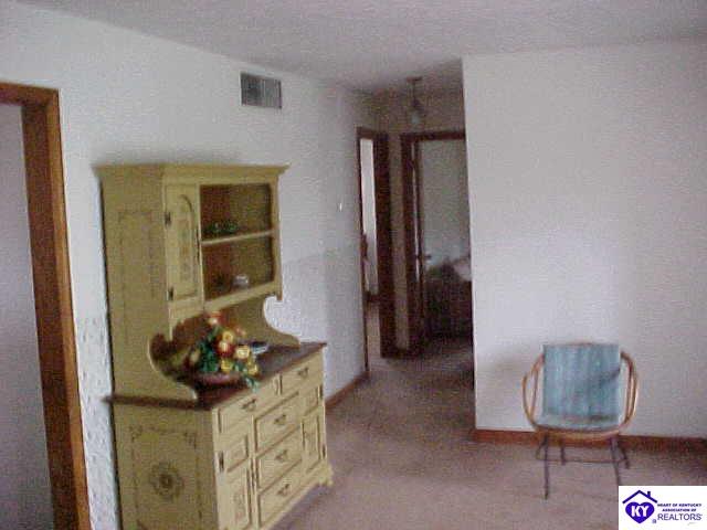 Listing Picture 401 Highland Avenue Vine Grove, KY 40175 MLS HK10000269