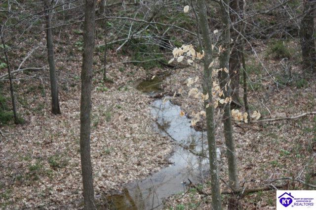 Listing Picture 1762 Aetna Furnace Road Magnolia, KY 42757 MLS HK10000359