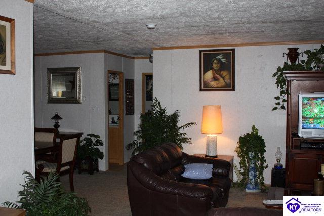 Listing Picture 1762 Aetna Furnace Road Magnolia, KY 42757 MLS HK10000359