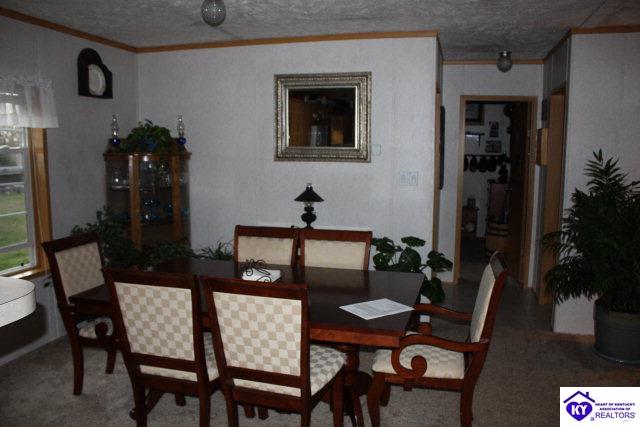 Listing Picture 1762 Aetna Furnace Road Magnolia, KY 42757 MLS HK10000359