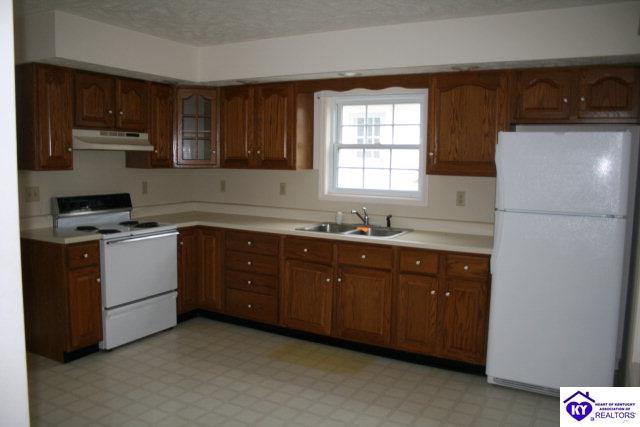 Listing Picture 10019 Jackson Highway Magnolia, KY 42757 MLS HK10000418