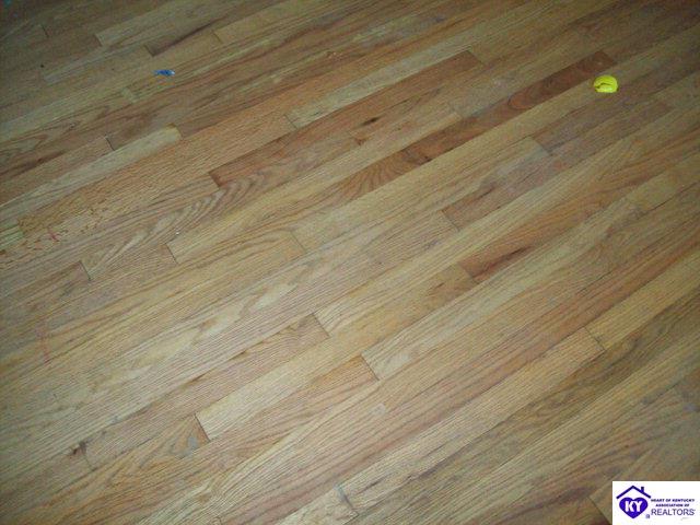 Listing Picture 319 Oklahoma Road Bee Spring, KY 42207 MLS HK10000419