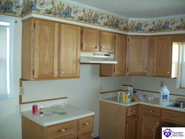 Listing Picture 319 Oklahoma Road Bee Spring, KY 42207 MLS HK10000419