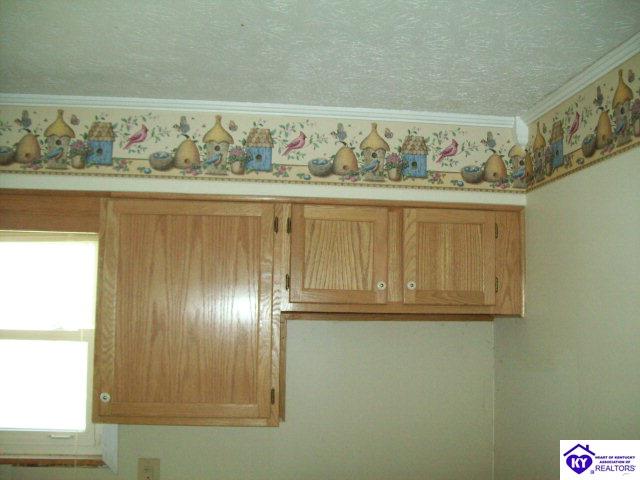 Listing Picture 319 Oklahoma Road Bee Spring, KY 42207 MLS HK10000419