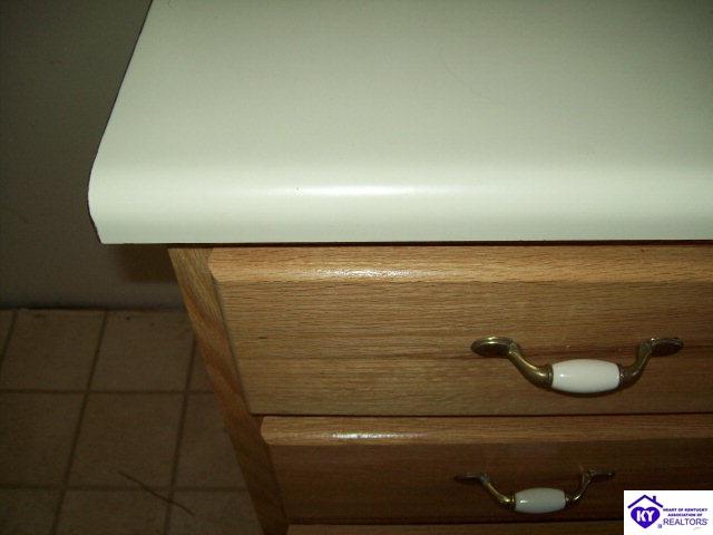 Listing Picture 319 Oklahoma Road Bee Spring, KY 42207 MLS HK10000419