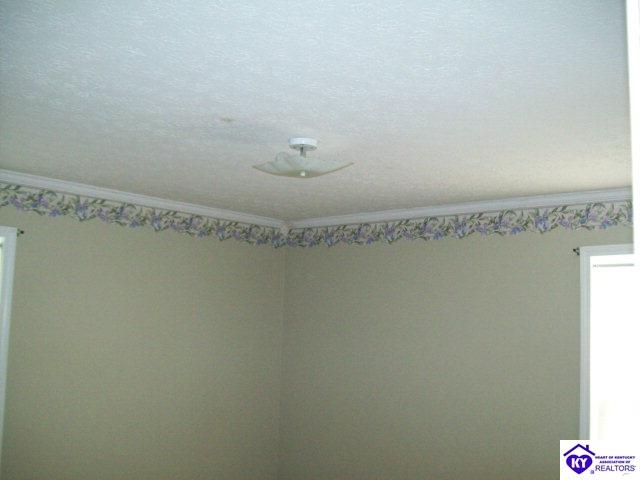 Listing Picture 319 Oklahoma Road Bee Spring, KY 42207 MLS HK10000419