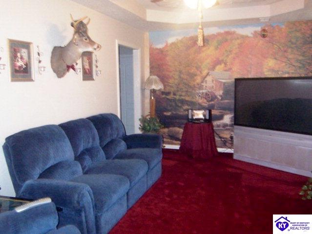 Listing Picture 103 Amber Court Bardstown, KY 40004 MLS HK10000575