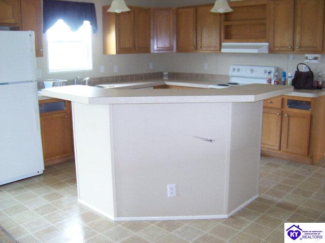 Listing Picture 265 Spurlington Church Road Campbellsville, KY 42718 MLS HK10000606